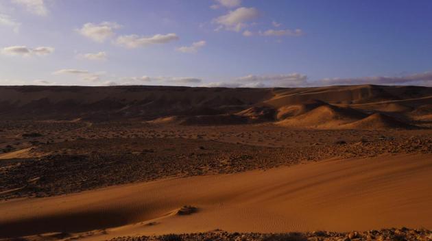 Desert decor martien