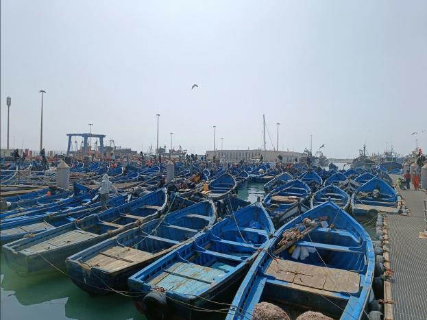 Le port et ses bateaux bleus